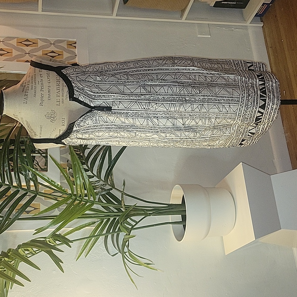 Mint 100% Silk Black and White dress